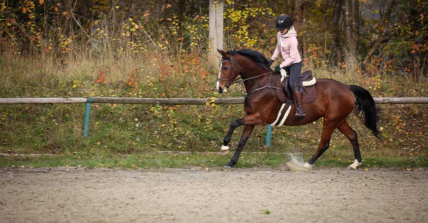 Rider-Training